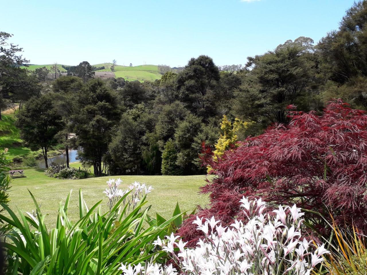 Morepork Riverside Lodge Paihia Exterior photo