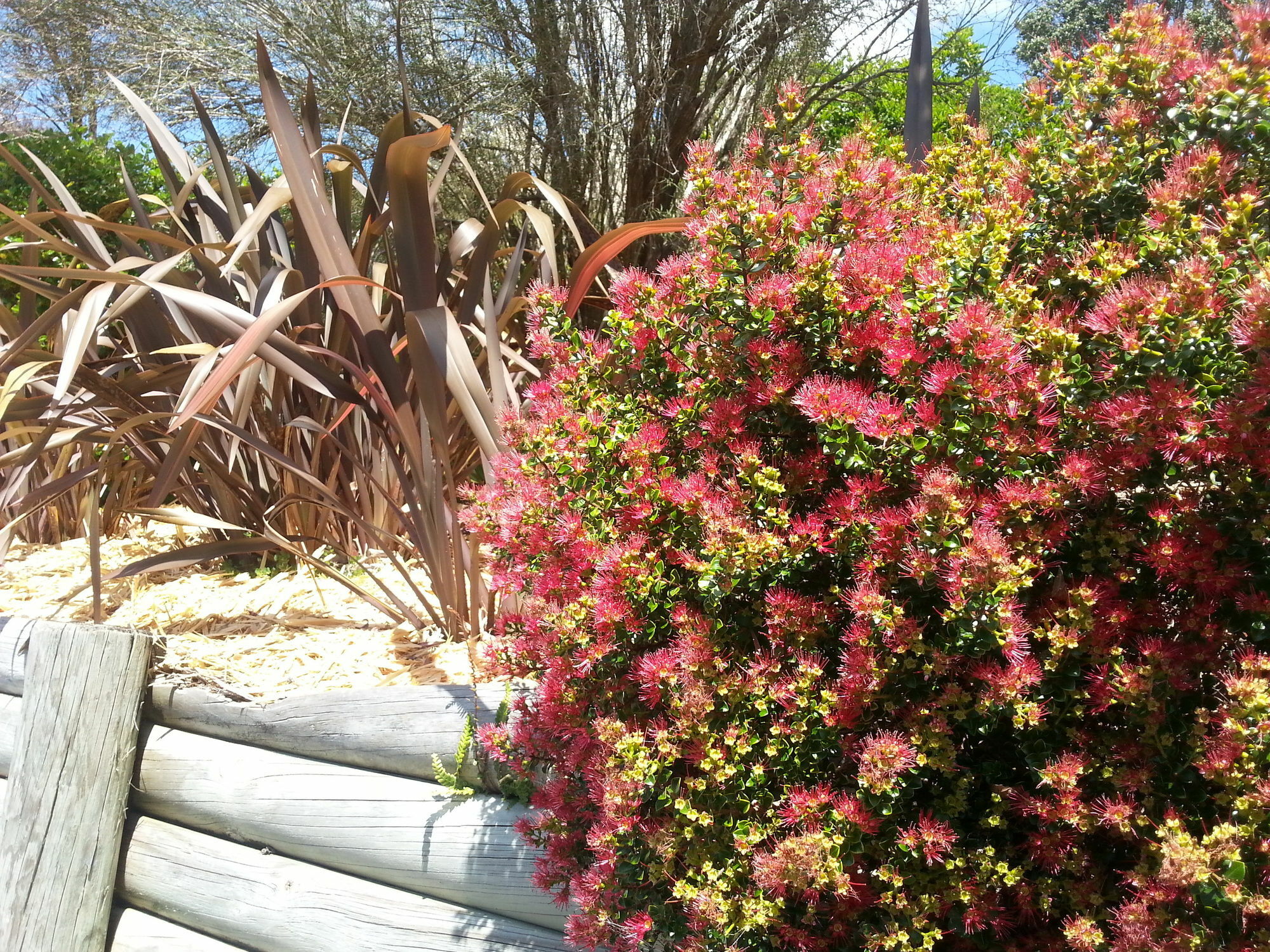 Morepork Riverside Lodge Paihia Exterior photo